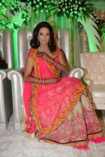 Brinda Parekh and Ajay_s Wedding in Sakinaka, Mumbai on 8th Feb 2014 (133)_52f77819b88c1.JPG
