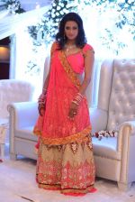 Brinda Parekh and Ajay_s Wedding in Sakinaka, Mumbai on 8th Feb 2014 (137)_52f7781c38fd5.JPG