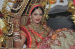 Brinda Parekh and Ajay_s Wedding in Sakinaka, Mumbai on 8th Feb 2014 (31)_52f777e32cc90.JPG