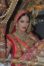 Brinda Parekh and Ajay_s Wedding in Sakinaka, Mumbai on 8th Feb 2014 (32)_52f777e39f432.JPG