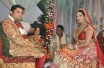 Brinda Parekh and Ajay_s Wedding in Sakinaka, Mumbai on 8th Feb 2014 (36)_52f777e582220.JPG
