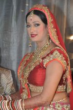 Brinda Parekh and Ajay_s Wedding in Sakinaka, Mumbai on 8th Feb 2014 (38)_52f777e685cc1.JPG