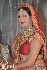 Brinda Parekh and Ajay_s Wedding in Sakinaka, Mumbai on 8th Feb 2014 (39)_52f777e6e6e77.JPG