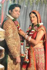 Brinda Parekh and Ajay_s Wedding in Sakinaka, Mumbai on 8th Feb 2014 (44)_52f777e9d6e30.JPG