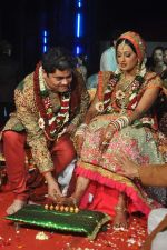 Brinda Parekh and Ajay_s Wedding in Sakinaka, Mumbai on 8th Feb 2014 (64)_52f777fd5c7db.JPG