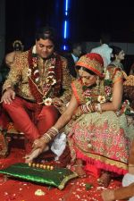 Brinda Parekh and Ajay_s Wedding in Sakinaka, Mumbai on 8th Feb 2014 (65)_52f777fdf383a.JPG