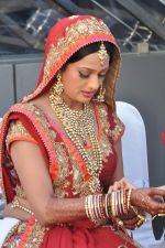 Brinda Parekh and Ajay_s Wedding in Sakinaka, Mumbai on 8th Feb 2014 (7)_52f777d9157de.JPG