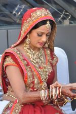 Brinda Parekh and Ajay_s Wedding in Sakinaka, Mumbai on 8th Feb 2014 (8)_52f777d9917c1.JPG