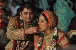 Brinda Parekh and Ajay_s Wedding in Sakinaka, Mumbai on 8th Feb 2014 (82)_52f777ff9ca53.JPG
