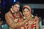 Brinda Parekh and Ajay_s Wedding in Sakinaka, Mumbai on 8th Feb 2014 (89)_52f77803ce087.JPG