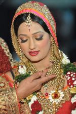 Brinda Parekh and Ajay_s Wedding in Sakinaka, Mumbai on 8th Feb 2014 (90)_52f778048749b.JPG
