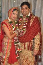 Brinda Parekh and Ajay_s Wedding in Sakinaka, Mumbai on 8th Feb 2014 (97)_52f77807e181b.JPG