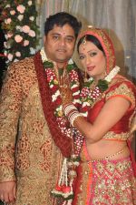 Brinda Parekh and Ajay_s Wedding in Sakinaka, Mumbai on 8th Feb 2014 (99)_52f778094994a.JPG