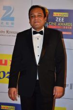 at Zee Awards red carpet in Filmcity, Mumbai on 8th Feb 2014 (336)_52f77a6abd63a.JPG