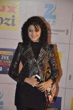 at Zee Awards red carpet in Filmcity, Mumbai on 8th Feb 2014 (5)_52f77a5a00d03.JPG