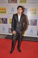 at Zee Awards red carpet in Filmcity, Mumbai on 8th Feb 2014 (6)_52f77a5a5b38f.JPG