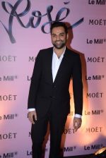 Abhay Deol at rose moet launch live feed from the event in Mumbai on 13th Feb 2014(116)_52fdf7d10bd69.JPG