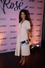 Poorna Jagannathan at rose moet launch live feed from the event in Mumbai on 13th Feb 2014(153)_52fdf81a96bc0.JPG