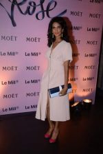 Poorna Jagannathan at rose moet launch live feed from the event in Mumbai on 13th Feb 2014(155)_52fdf81b672fa.JPG
