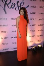 Preeti Desai  at rose moet launch live feed from the event in Mumbai on 13th Feb 2014 (9)_52fdb9546f378.jpg