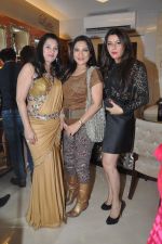 Kehkashan Patel at the  Launch of The Cappuccino Collection Store in Mumbai on 15th Feb 2014 (52)_53008e9b23ef4.JPG