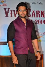 Jackky Bhagnani at the Promotion of Youngistaan at the 2014 Goa Carnival on 17th Feb 2014 (111)_5302f54192777.JPG