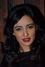 Neha Sharma at the Promotion of Youngistaan at the 2014 Goa Carnival on 17th Feb 2014 (145)_5302f5a54bb1a.JPG