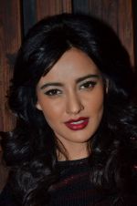 Neha Sharma at the Promotion of Youngistaan at the 2014 Goa Carnival on 17th Feb 2014 (148)_5302f5a65d000.JPG