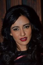 Neha Sharma at the Promotion of Youngistaan at the 2014 Goa Carnival on 17th Feb 2014 (150)_5302f5a6b44a4.JPG