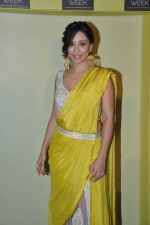 Amrita Puri at the Press conference of Lakme Fashion Week 2014 in Mumbai on 17th Feb 2014 (112)_530449f0b7318.jpg