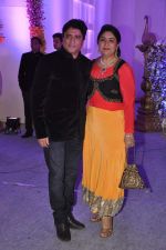 Anand Raj Anand at Miraj Group_s Madan Paliwal_s daughter Devdhooti and Vikas Purohit_s reception in Udaipur on 18th Feb 2014 (254)_5305c8ddaec50.JPG