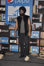at MTV Indies Event in Mumbai on 20th Feb 2014 (45)_5306f620a54b0.JPG