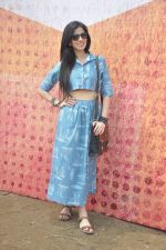 Nishka Lulla at  Channel V India Fest in Mumbai on 23rd Feb 2014 (28)_530b4f9ee16bd.JPG