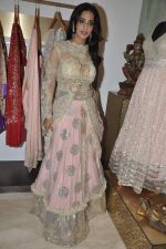 Mahi Gill at Amy Billimoria_s showroom in Mumbai on 24th Feb 2014 (67)_530c254b06906.JPG