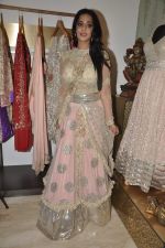 Mahi Gill at Amy Billimoria_s showroom in Mumbai on 24th Feb 2014 (69)_530c254bbc3f2.JPG