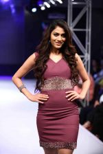 Model walk the ramp for Aslam Khan at Bengal Fashion Week on 23rd Feb 2014 (44)_530c9f1017e8c.jpg