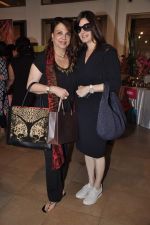 Zarine Khan at Araish Event hosted by Sharmila and Shaan Khanna in Mumbai on 25th Feb 2014 (50)_530c9f462abf8.JPG