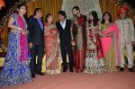 Shahrukh Khan at Rajiv and Megha_s wedding reception in Sahara Star, Mumbai on 25th Feb 2014 (163)_530dd496648dd.JPG