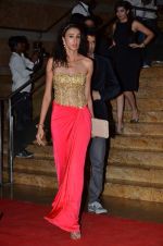 Alecia Raut at Colors red carpet in Grand Hyatt, Mumbai on 1st March 2014 (240)_5312fbed157c3.JPG