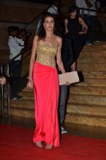 Alecia Raut at Colors red carpet in Grand Hyatt, Mumbai on 1st March 2014 (252)_5312fbee8d64f.JPG