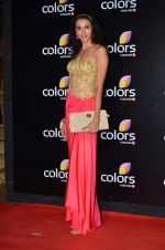 Alecia Raut at Colors red carpet in Grand Hyatt, Mumbai on 1st March 2014 (253)_5312fbeee6c77.JPG