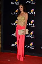 Alecia Raut at Colors red carpet in Grand Hyatt, Mumbai on 1st March 2014 (256)_5312fbf00ff9f.JPG
