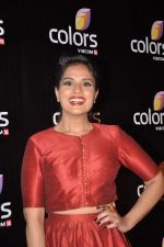 Richa Chadda at Colors red carpet in Grand Hyatt, Mumbai on 1st March 2014 (6)_5313031d37eaa.JPG
