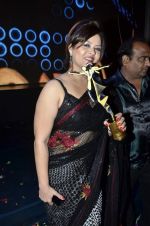 at Gujarati film awards in Tulip Star, Mumbai on 1st March 2014 (10)_5312a212556a0.JPG