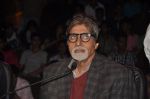 Amitabh Bachchan on India_s Got Talent finale in Filmcity, Mumbai on 8th March 2014 (31)_531d95784c947.JPG