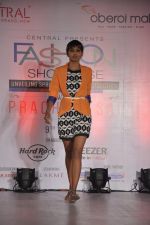Model at central fashion show in Mumbai on 9th March 2014 (13)_531da4c9b7afb.JPG