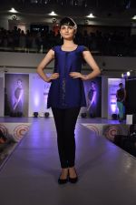 Model at central fashion show in Mumbai on 9th March 2014 (7)_531da4c1002c1.JPG
