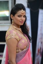 at Gladrags Mrs India and race in Mumbai on 9th March 2014 (338)_531da0595e93b.JPG