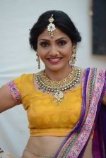 at Gladrags Mrs India and race in Mumbai on 9th March 2014 (349)_531da0682e91a.JPG