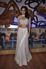 on Day 3 at LFW 2014 in Grand Hyatt, Mumbai on 14th March 2014(265)_53243a4f26c4a.JPG